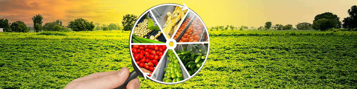 Agribusiness & Food Processing